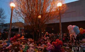 Прошло 8 лет: кузбассовцы вспоминают трагедию в «Зимней вишне»