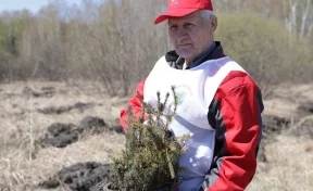 «Кузбассразрезуголь» высадил деревья в честь подвига шахтёров в Великой Отечественной войне