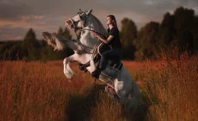 Кузбасский Титан: как кемеровский конь стал звездой соцсетей