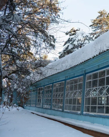 Фото, видео: <a href=https://t.me/gazetakemerovo/28802?single>Александр Чаринцев</a> / администрация города Кемерово