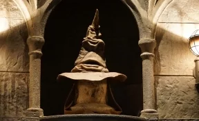 Учёные воссоздали шляпу из «Гарри Поттера» для чтения мыслей