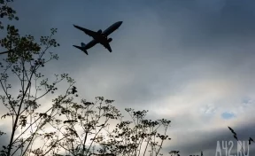 Самолёт из Москвы в Ставропольский край по тревоге сел в Волгограде