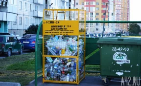 В минприроды предложили кемеровчанам сдать в переработку зубные щётки и зонты