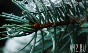 Погода в России переходит в зимний режим, тепла в этом году больше не будет