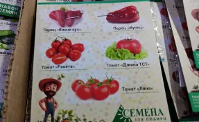 В Кузбассе Россельхознадзор выявил запрещённые к продаже семена