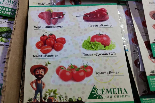 В Кузбассе Россельхознадзор выявил запрещённые к продаже семена