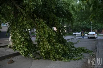 Фото: Кемеровчане опубликовали фото последствий непогоды в соцсетях 1