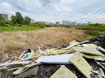 Фото: Вываливал мусор за гаражами: власти Новокузнецка рассказали о нарушителе чистоты 1