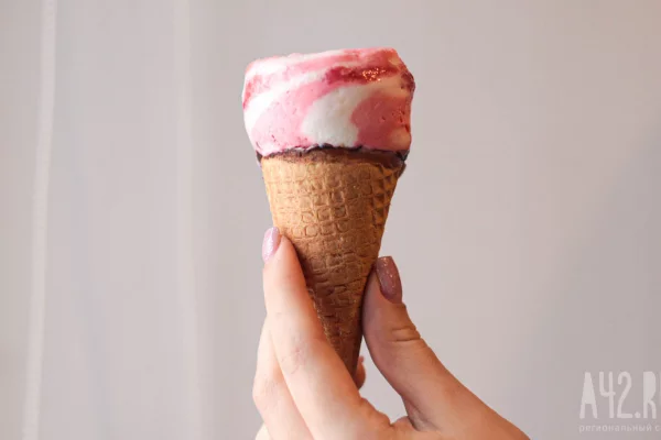 Кузбасс отправил в Монголию более 140 тонн мороженого и 4 млн куриных яиц