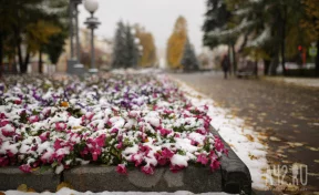Синоптики дали прогноз на 5 октября в Кузбассе