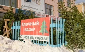 Ёлочные базары начнут работать с 15 декабря в Кемерове