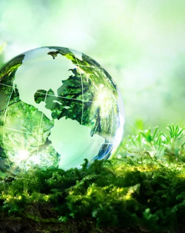 Фонд «Экология» РСХБ подводит итоги четырёх лет работы: на реализацию эко-проектов направлено до 129 млн рублей