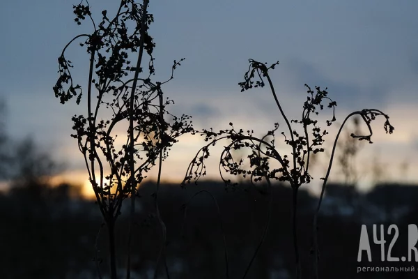 Не грустить и устроить праздник: народные приметы на 7 октября