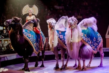 Фото: Новогодняя сказка на восточный лад: шоу «Песчаная Сказка» Гии Эрадзе в Кемерове 2