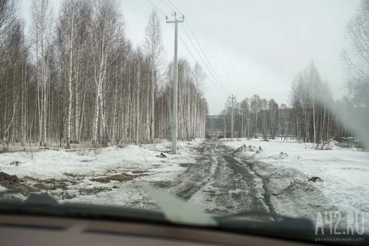 Фото: Перестрелки с охотниками и медведи: как переехать жить в лес у озера за 500 000 рублей 1