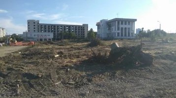 Фото: «Это варварство»: Парк сталинградских вдов у Мамаева кургана вырубили ради парковки  1