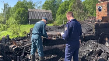 Фото: Житель Новгородской области сжёг дом с бывшей женой и её сыновьями 1