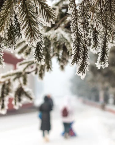 В ночь на среду температура в Кузбассе опустится до -22  
