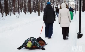 В Кузбассе потеплело до +6: синоптики зафиксировали плюсовые температуры в январе