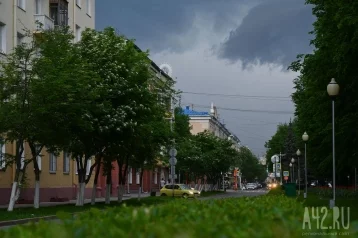 Фото: Кузбассовцев на неделе ждёт тёплая и дождливая погода 1