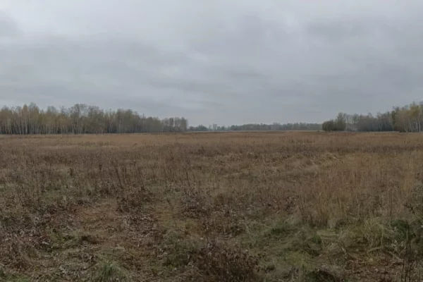 В СК рассказали подробности гибели главы Ленинского района Новосибирска на охоте