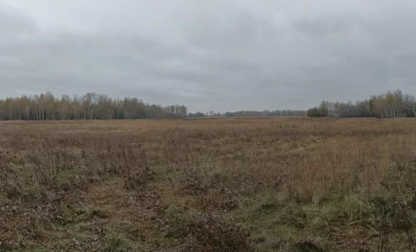 В СК рассказали подробности гибели главы Ленинского района Новосибирска на охоте