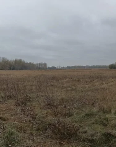 В СК рассказали подробности гибели главы Ленинского района Новосибирска на охоте