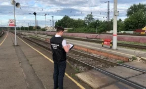В Воронеже поезд сбил мужчину с 2-летним ребёнком на руках 