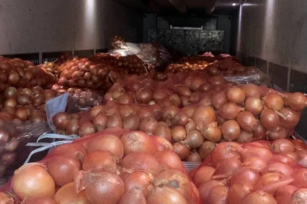 С начала 2026 года в Кузбасс ввезли 763 тонны овощей из Казахстана