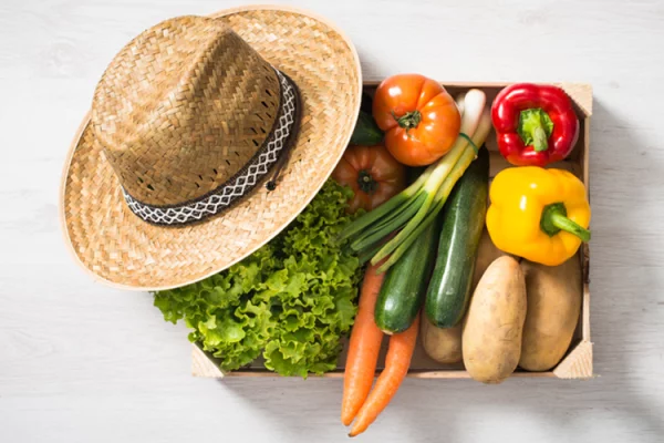 РСХБ: россияне идут на рекорд по потреблению овощей — за пять лет у граждан сформировались здоровые пищевые привычки