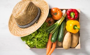 РСХБ: россияне идут на рекорд по потреблению овощей — за пять лет у граждан сформировались здоровые пищевые привычки