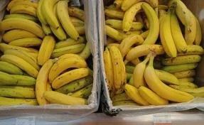 В Кузбассе за неделю резко подешевел картофель и подорожали бананы