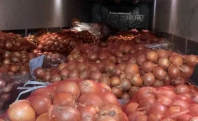 С начала 2026 года в Кузбасс ввезли 763 тонны овощей из Казахстана