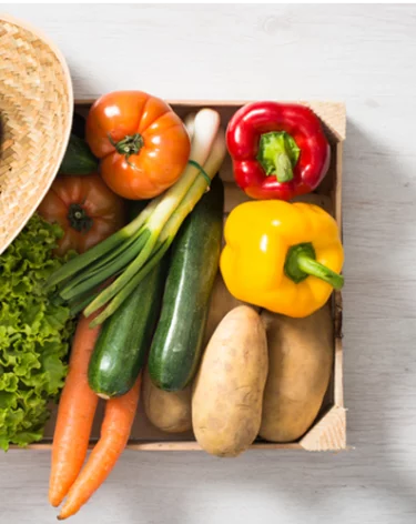 РСХБ: россияне идут на рекорд по потреблению овощей — за пять лет у граждан сформировались здоровые пищевые привычки