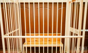 Экс-замминистра ЖКХ Свердловской области приговорили к 11 годам колонии за взятку