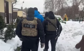 В Кузбассе у директора сети магазинов нашли шкуры снежного барса и манула: СК показал видео задержания