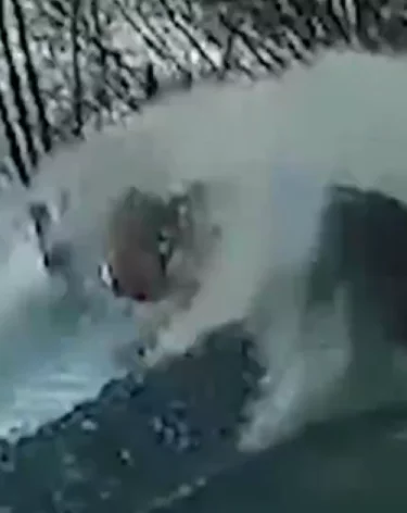 Фото, видео: <a href=https://max.ru/mvd42/AZz_Rb_CVZU>ГУ МВД по Кемеровской области </a>/ MAX