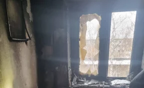 В Кузбассе на пожаре в квартире погибли мать и двое маленьких детей