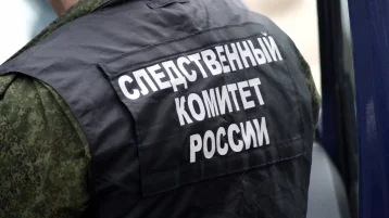 Фото: В Нальчике пьяный мужчина до смерти забил 87-летнюю женщину на улице 1