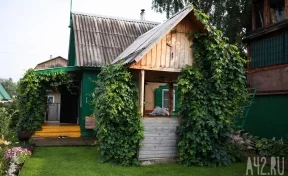 Лидер ЛДПР предложил бесплатно давать землю в малых городах России