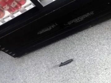 Фото: В Кузбассе росгвардеец обезоружил рецидивиста, напавшего с ножом на продавца магазина 1