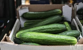 В Кузбассе цены на огурцы за неделю взлетели на 6,9%