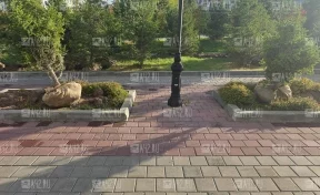 Клумбы вместо ёлок: в кемеровской Лесной Поляне выкопали молодые деревья, жители недовольны