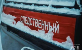 СК РФ: организована проверка по факту смерти Алексея Навального*