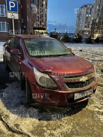 Фото: «Хозяева, вы изверги»: кемеровчане вторые сутки спасают запертых в автомобиле собак  1