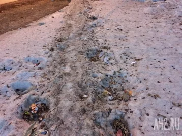 Фото: Кемеровчанка шокирована «мусорной дорожкой» в Центральном районе 1