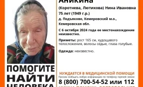 В Кузбассе без вести пропала 75-летняя женщина