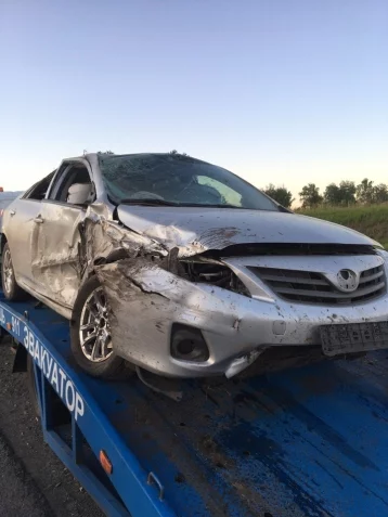 Фото: Стали известны подробности ДТП на кузбасской трассе с высыпавшимися из прицепа брёвнами 2