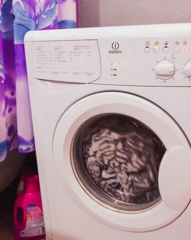 Очевидцы: в Новокузнецке треш-стримеры разгромили съёмную квартиру и сняли это на видео