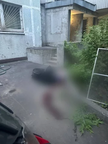 Фото: В Москве 6-летний ребёнок выпал из окна 16 этажа, опёршись на москитную сетку  1